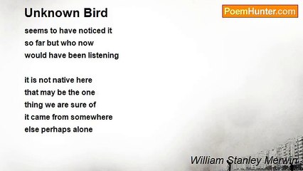 William Stanley Merwin - Unknown Bird