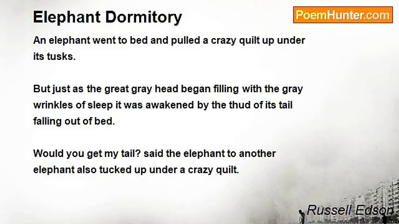 Russell Edson - Elephant Dormitory