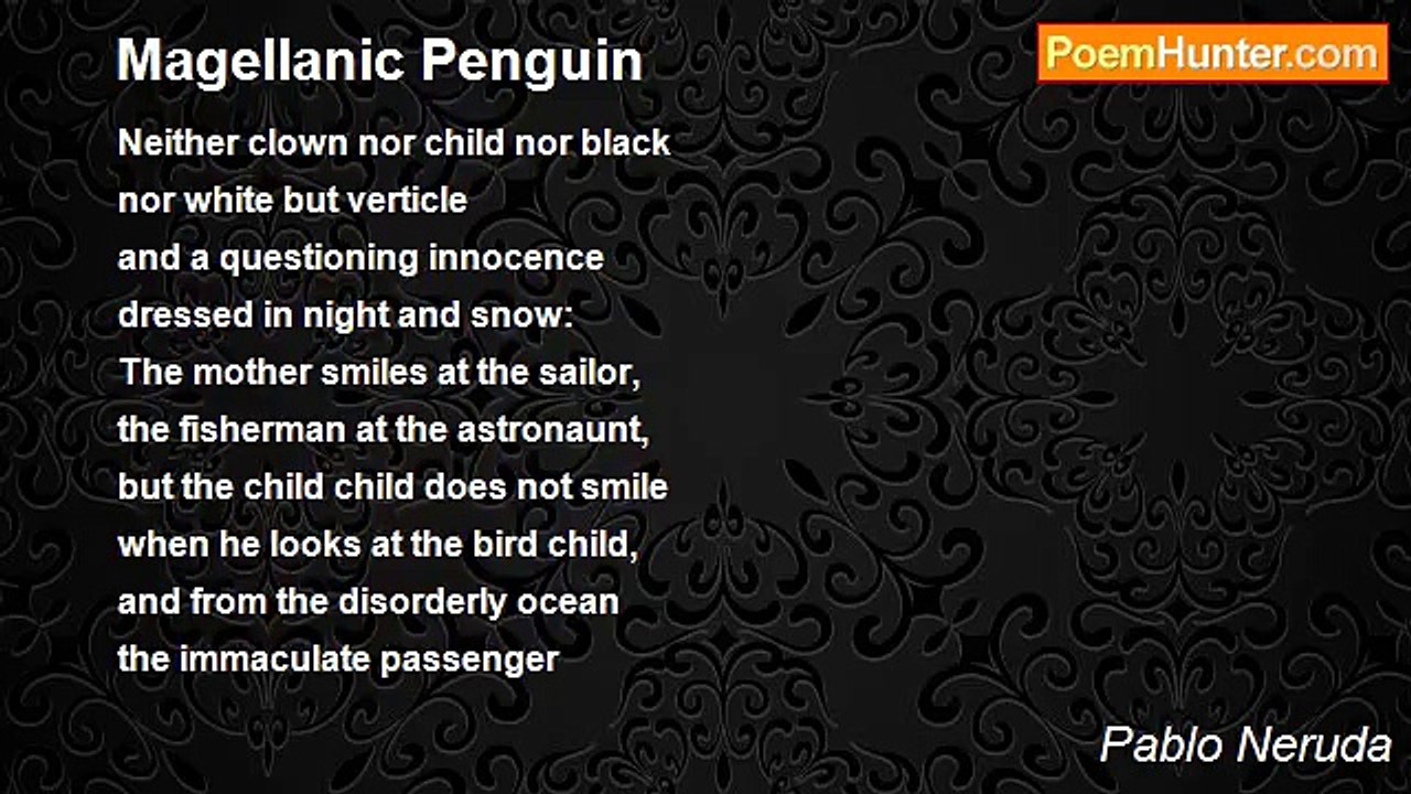 Pablo Neruda - Magellanic Penguin