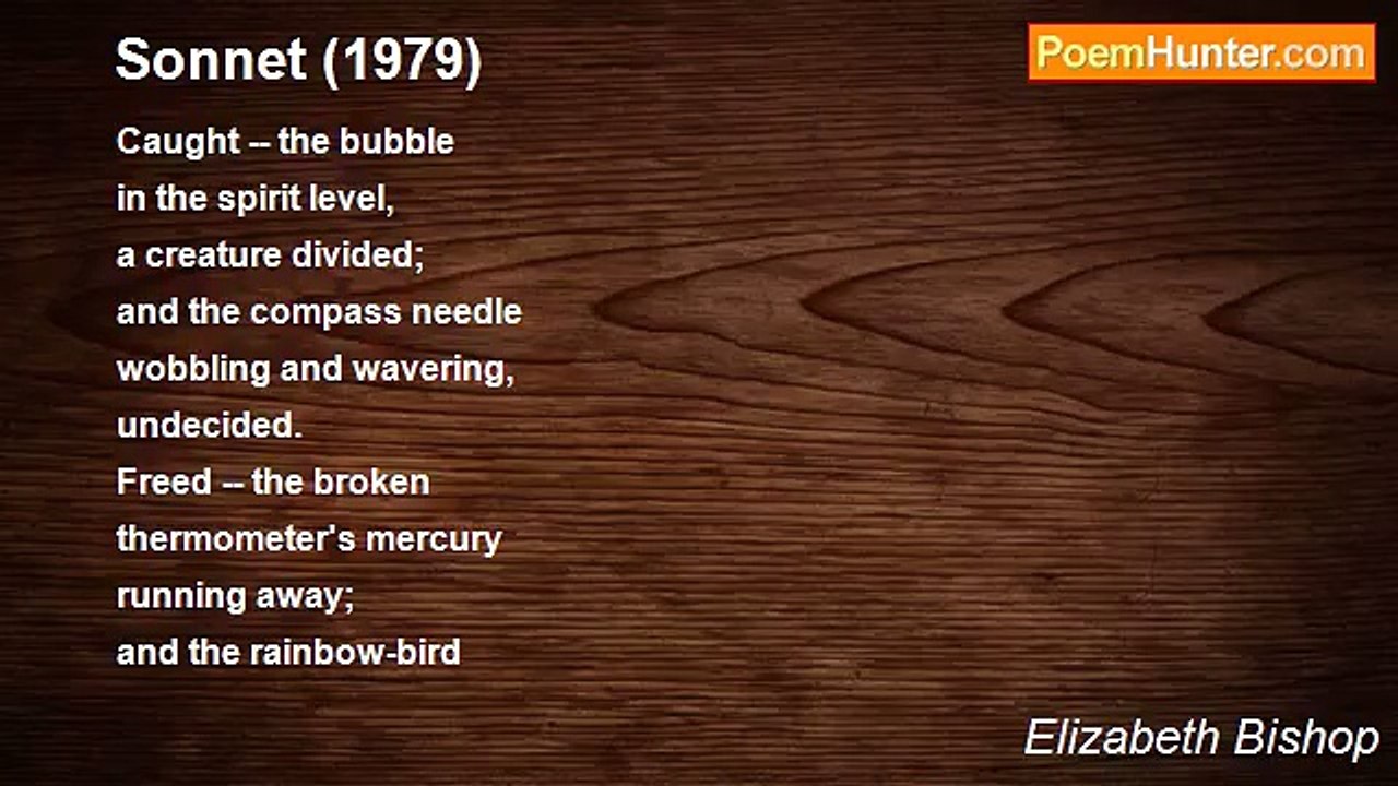 Elizabeth Bishop - Sonnet (1979)