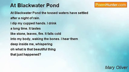Mary Oliver - At Blackwater Pond