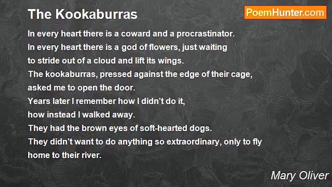 Mary Oliver - The Kookaburras
