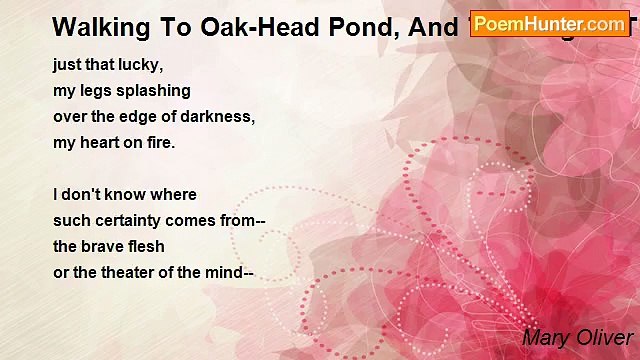 Mary Oliver - Walking To Oak-Head Pond, And Thinking Of The Ponds I Will Visit In The Next Days And Weeks