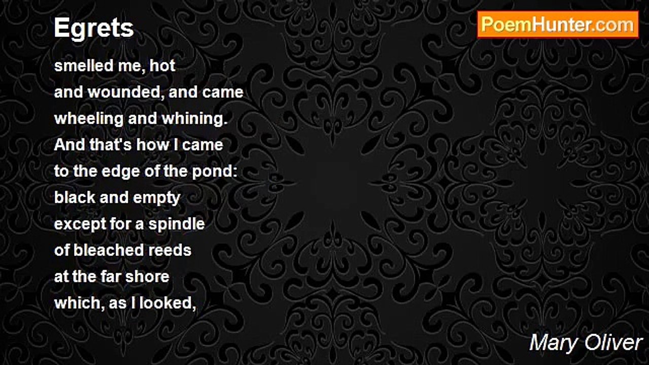 Mary Oliver - Egrets