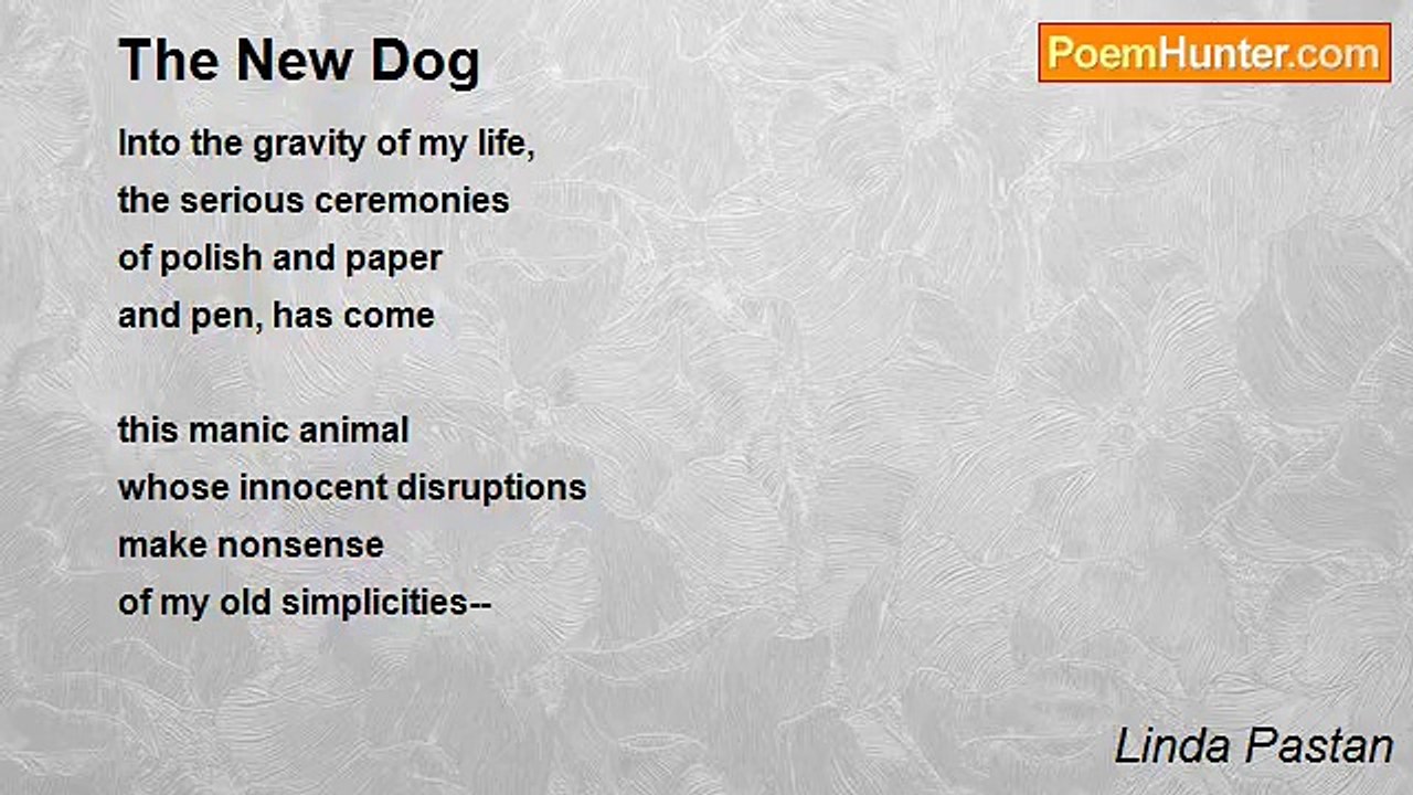 Linda Pastan - The New Dog