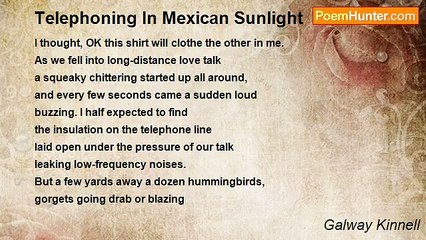 Galway Kinnell - Telephoning In Mexican Sunlight