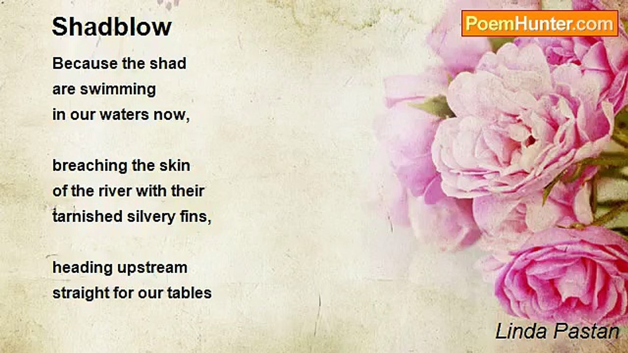 Linda Pastan - Shadblow