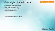 Matsuo Basho - Cold night: the wild duck