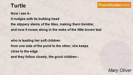 Mary Oliver - Turtle