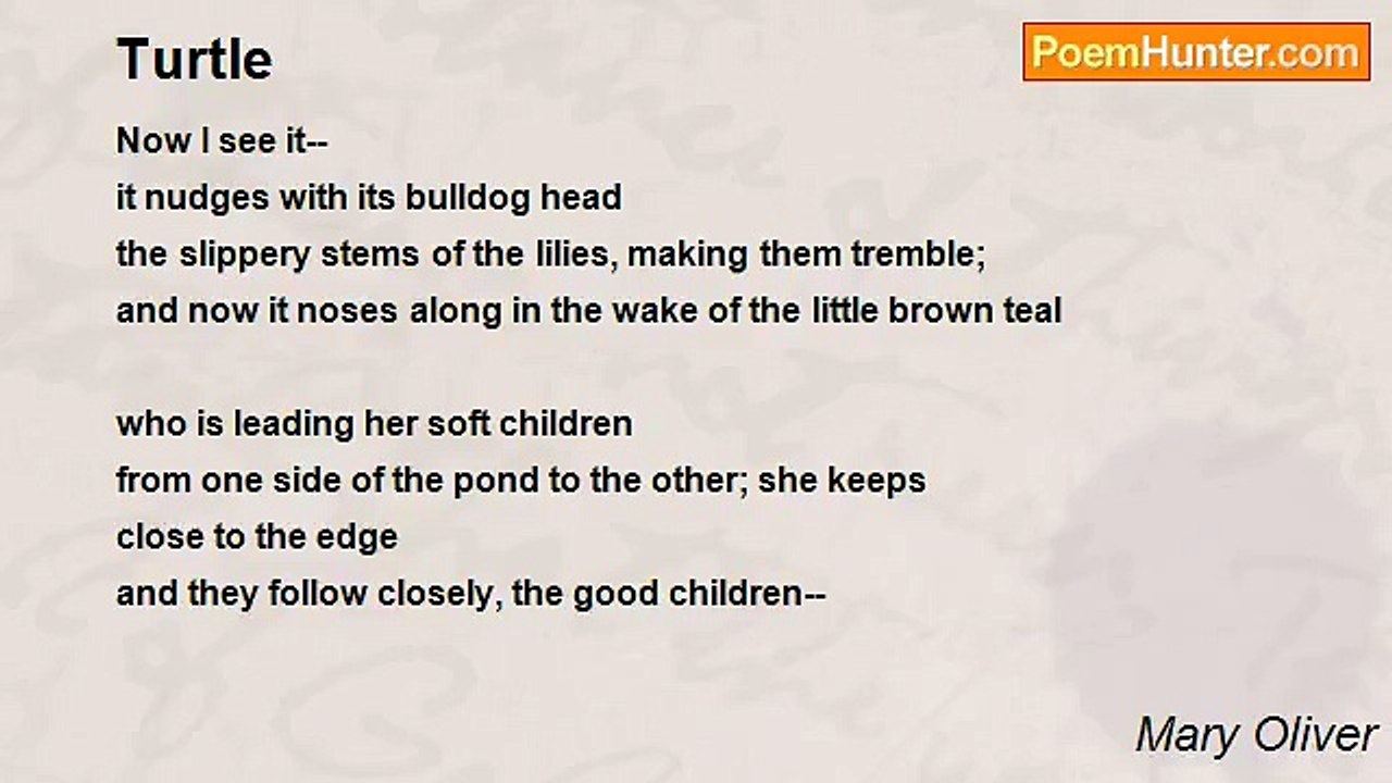 Mary Oliver - Turtle