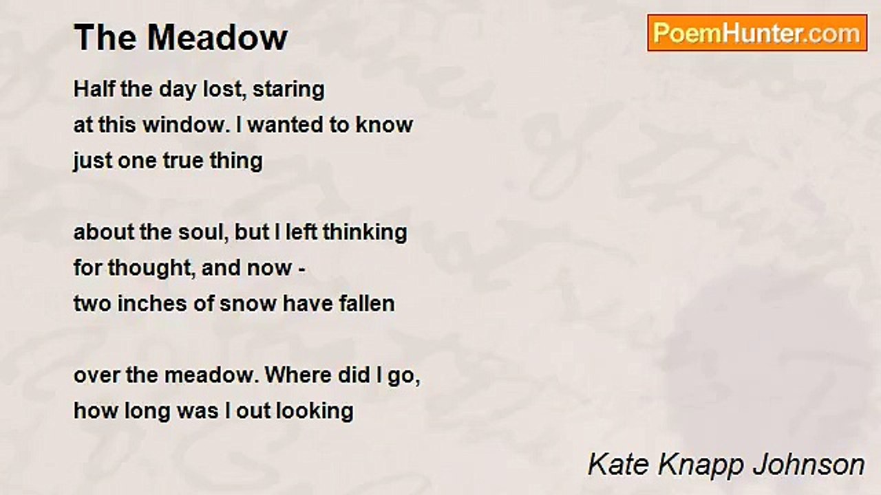 Kate Knapp Johnson - The Meadow