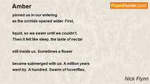 Nick Flynn - Amber