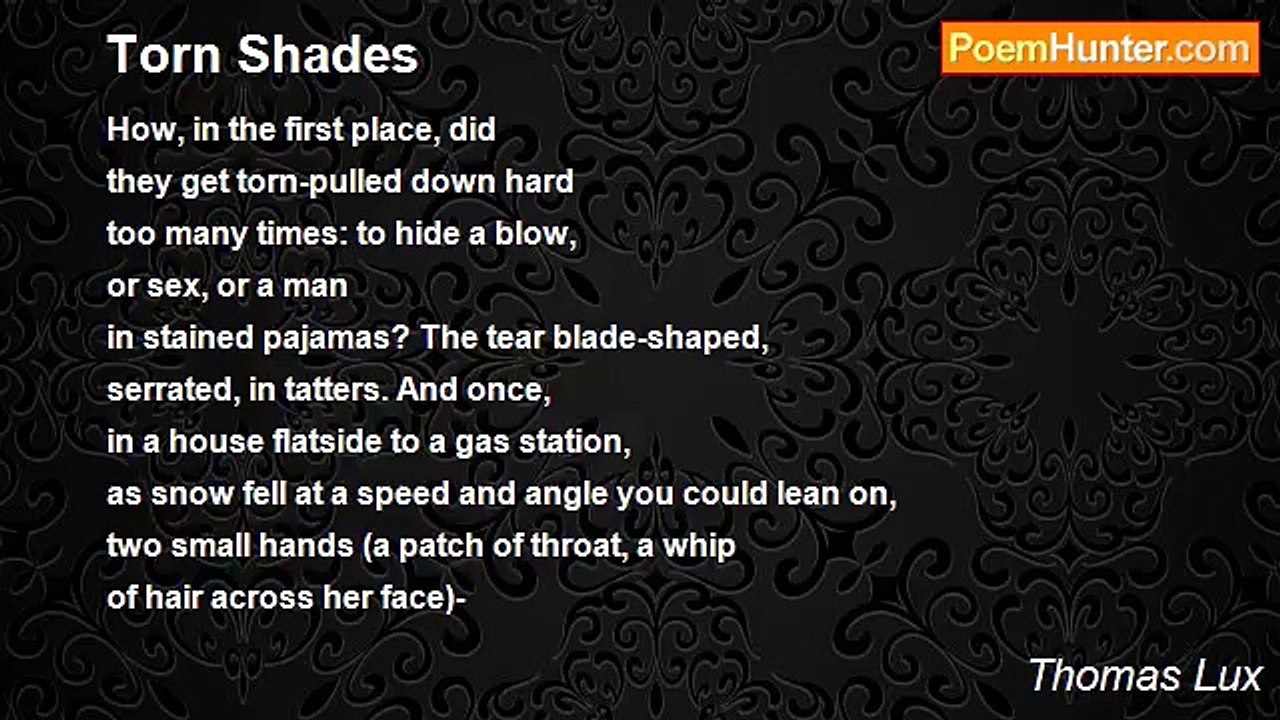 Thomas Lux - Torn Shades
