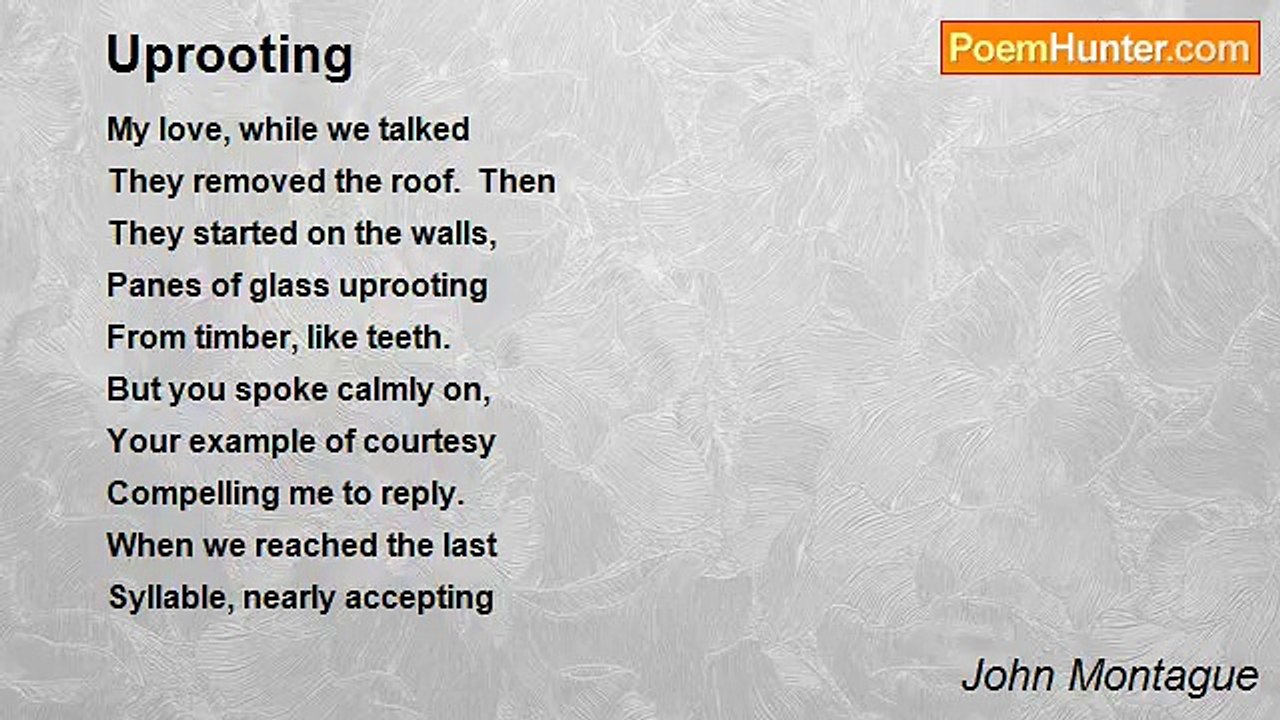 John Montague - Uprooting