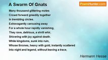 Hermann Hesse - A Swarm Of Gnats