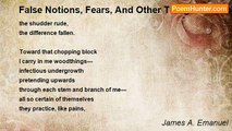 James A. Emanuel - False Notions, Fears, And Other Things Of Wood