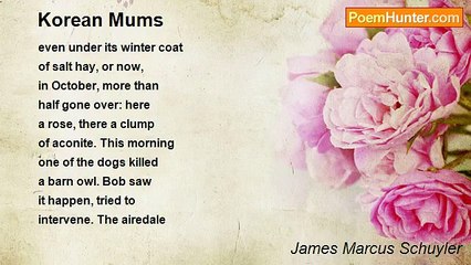 James Marcus Schuyler - Korean Mums