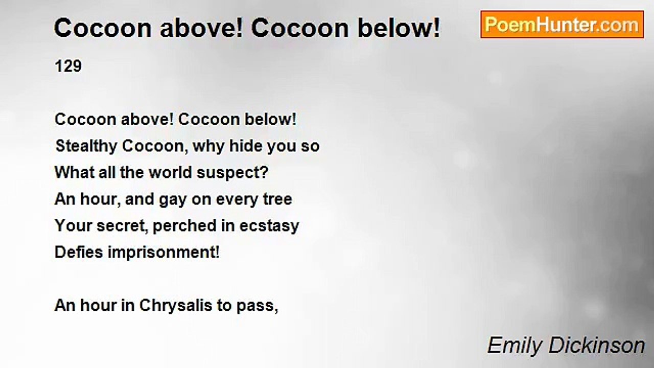 Emily Dickinson - Cocoon above! Cocoon below!