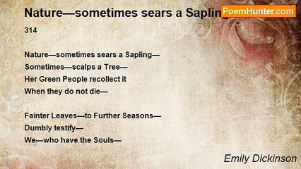 Emily Dickinson - Nature—sometimes sears a Sapling