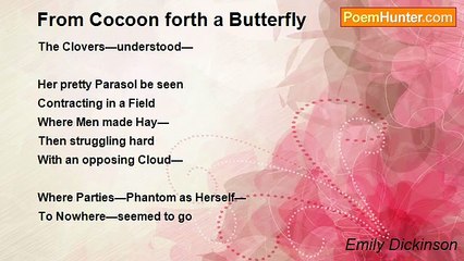 Emily Dickinson - From Cocoon forth a Butterfly