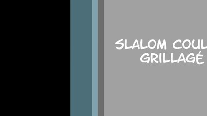 J'Yanka - 9 Mois - Slalom couloir Grillagé