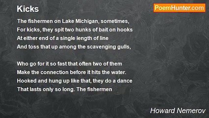 Howard Nemerov - Kicks