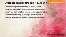 Richard Brautigan - Autobiography (Polish It Like A Piece of Silver)