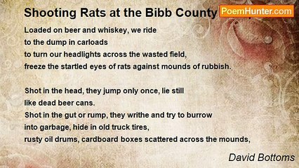 David Bottoms - Shooting Rats at the Bibb County Dump