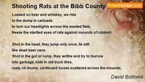 David Bottoms - Shooting Rats at the Bibb County Dump