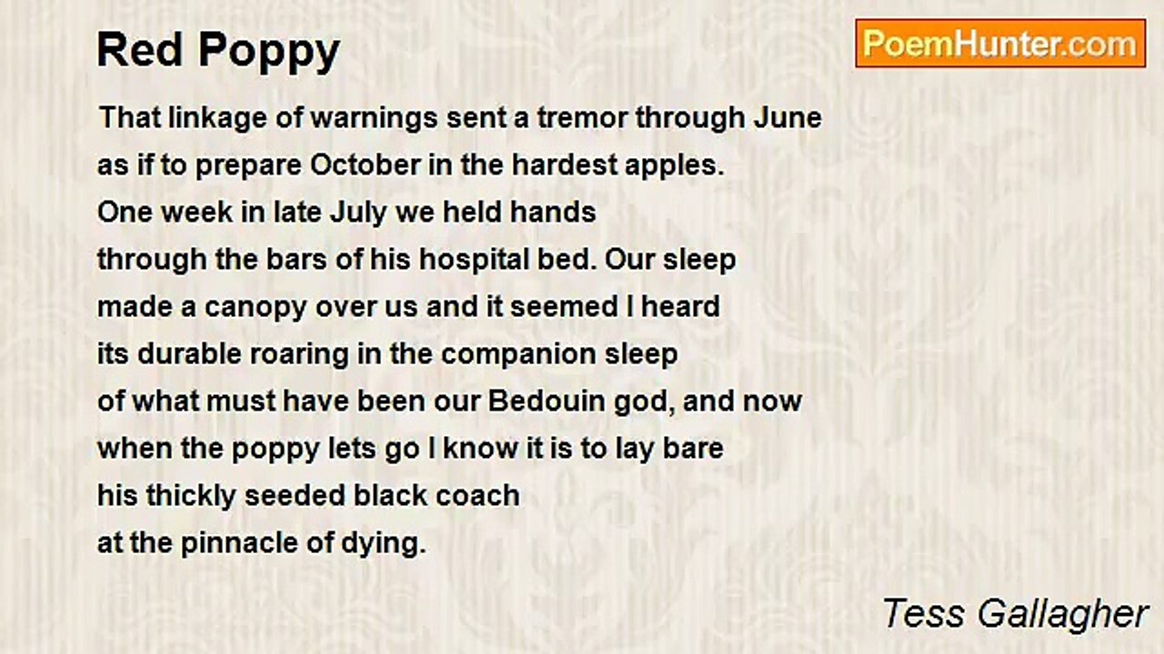 Tess Gallagher - Red Poppy