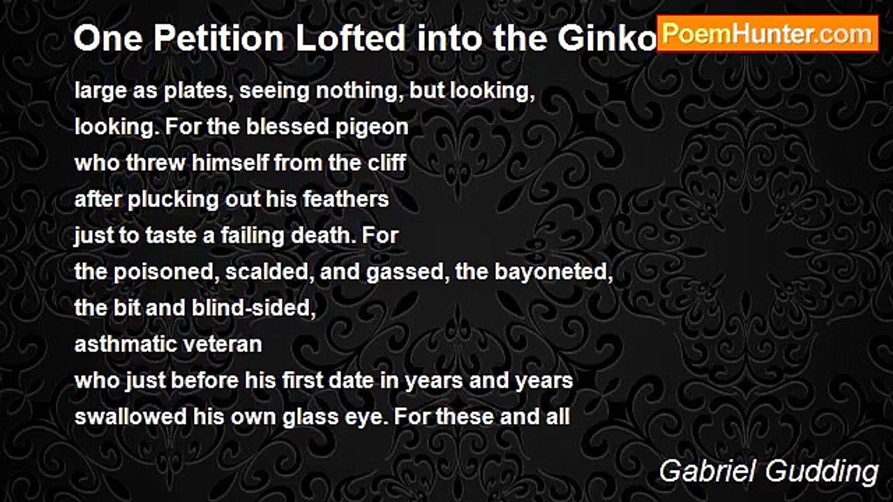 Gabriel Gudding - One Petition Lofted into the Ginkos