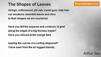 Arthur Sze - The Shapes of Leaves
