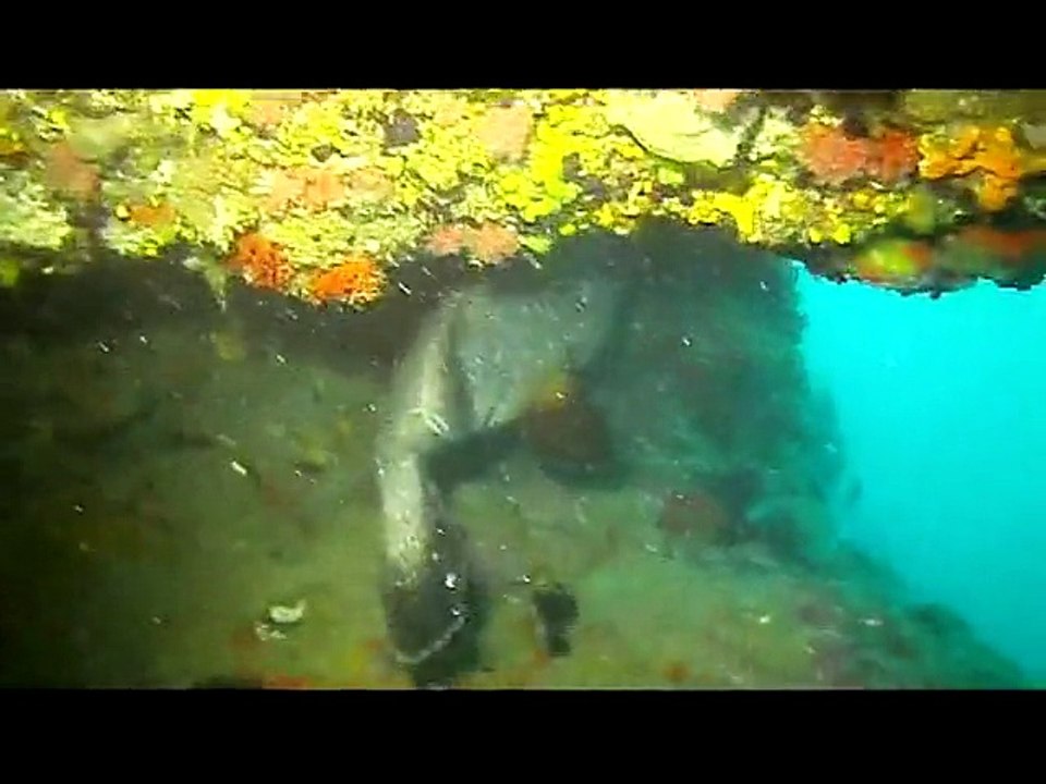 video mimi 01