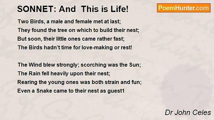 Dr John Celes - SONNET: And  This is Life!