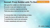 Dr John Celes - Sonnet: From Soldier-ants To God