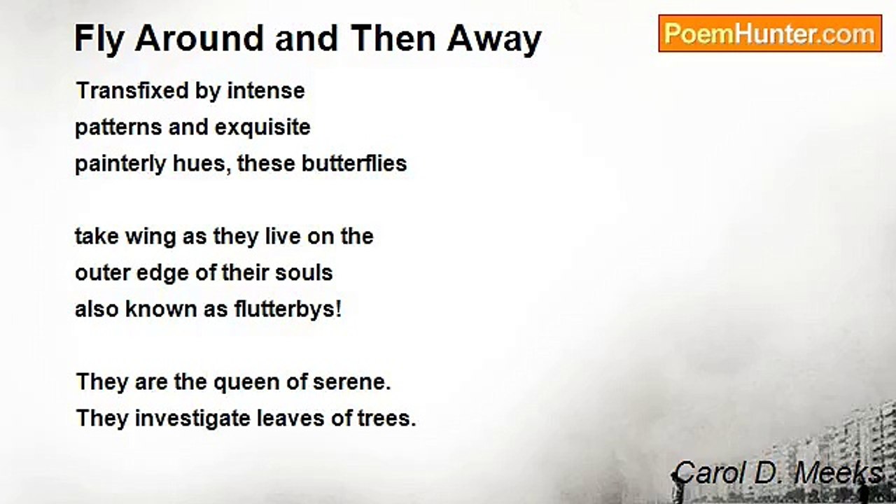 Carol D. Meeks - Fly Around and Then Away