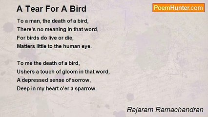 Rajaram Ramachandran - A Tear For A Bird