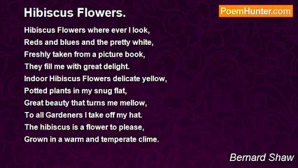 Bernard Shaw - Hibiscus Flowers.
