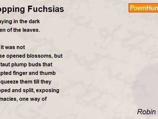 Robin Skelton - Popping Fuchsias