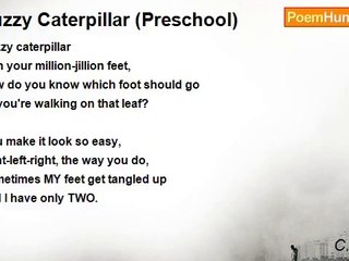 C.J. Heck - Fuzzy Caterpillar (Preschool)
