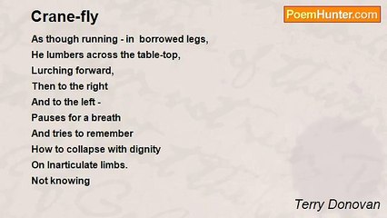 Terry Donovan - Crane-fly