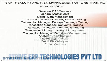 SAP TREASURY & RISK MANAGEMENT ONLINE TRAINING - STRIVE ERP_com