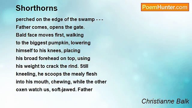 Christianne Balk - Shorthorns