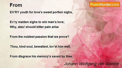 Johann Wolfgang von Goethe - From