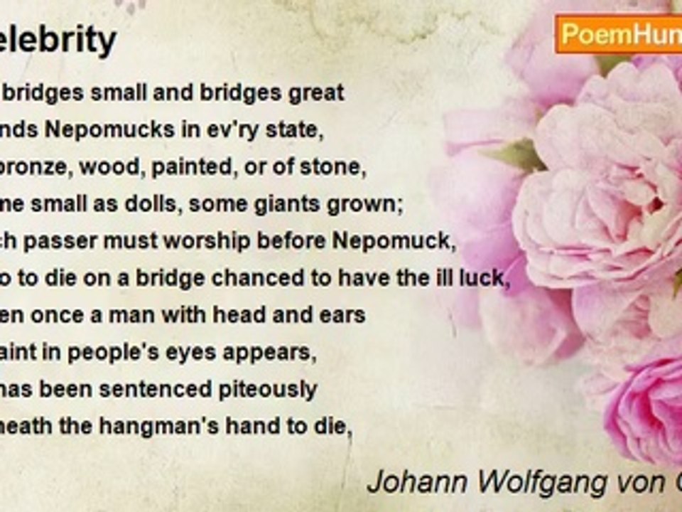 Johann Wolfgang von Goethe - Celebrity