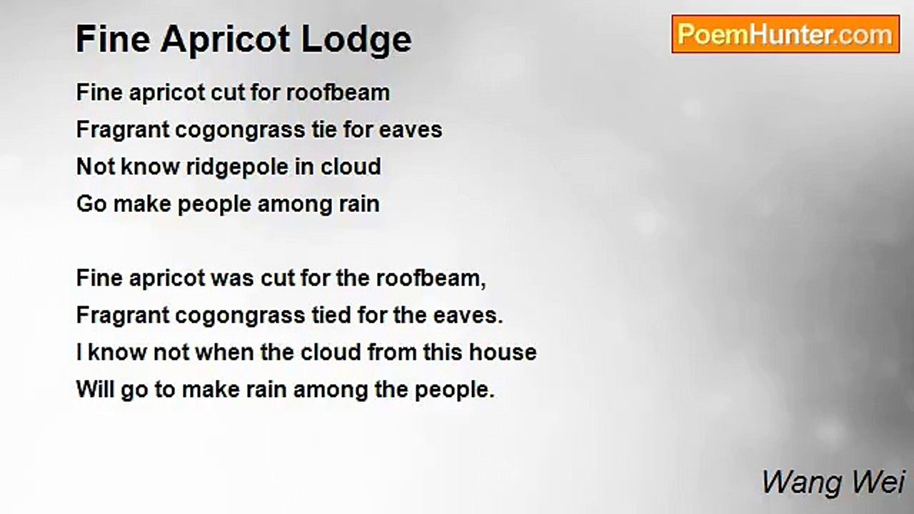 Wang Wei - Fine Apricot Lodge