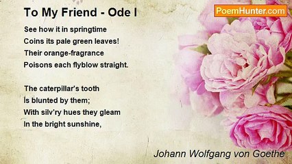 Johann Wolfgang von Goethe - To My Friend - Ode I