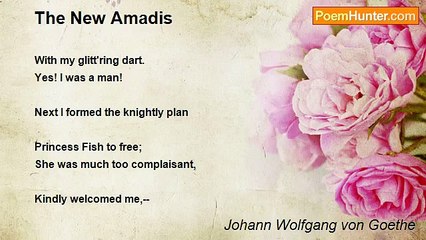 Johann Wolfgang von Goethe - The New Amadis
