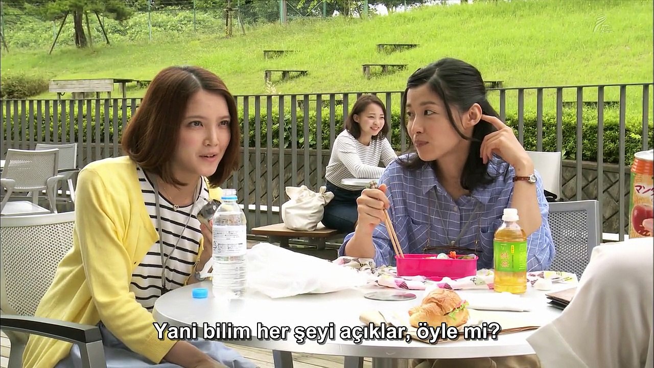 Zmn.Ylcs.E01.AF