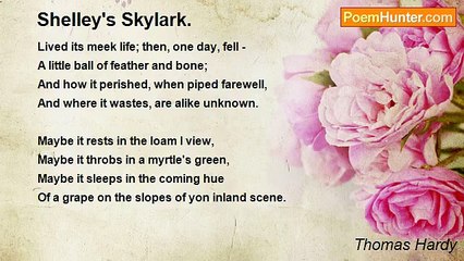 Thomas Hardy - Shelley's Skylark.